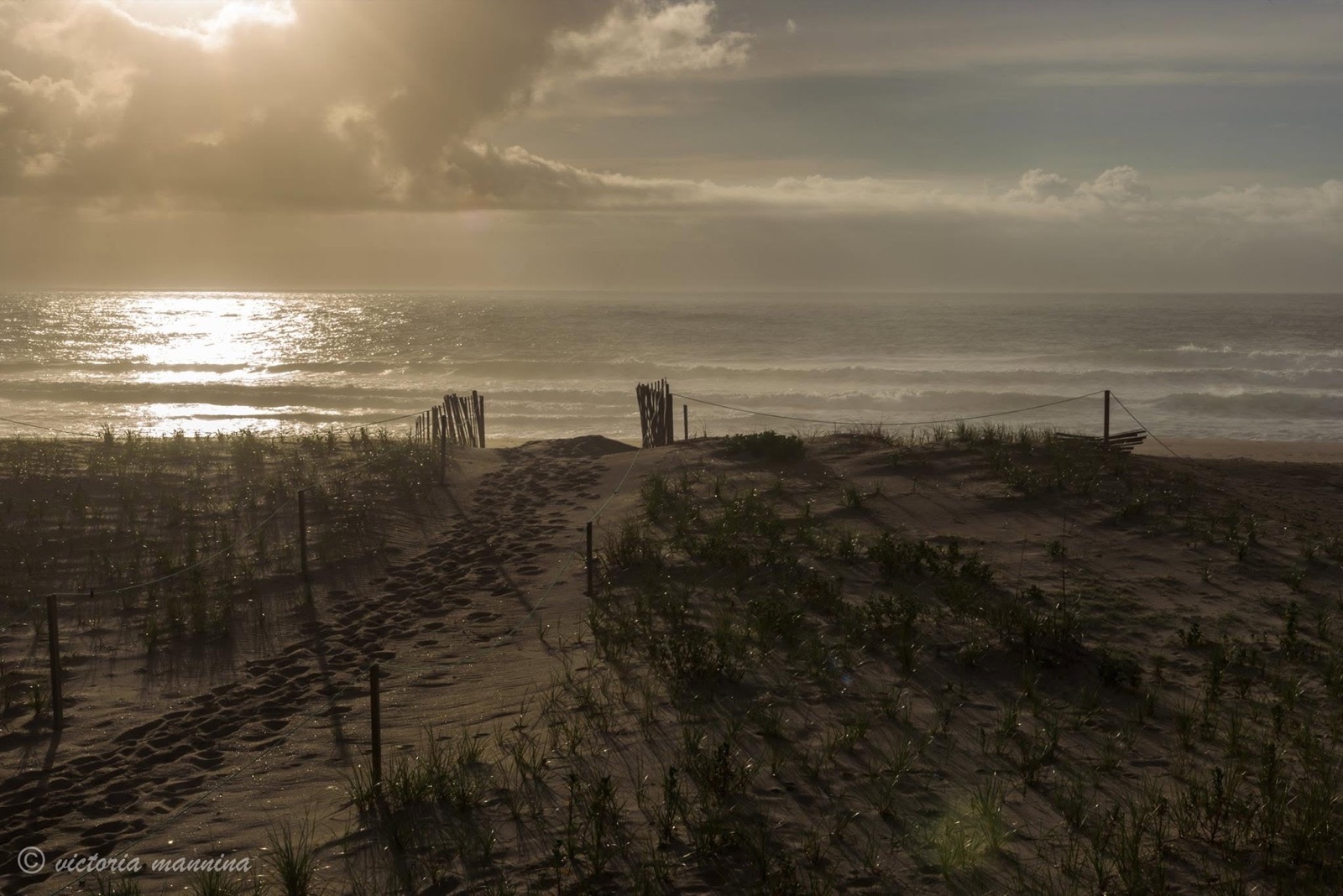Dune footpath with fencing leading to sunlit ocean