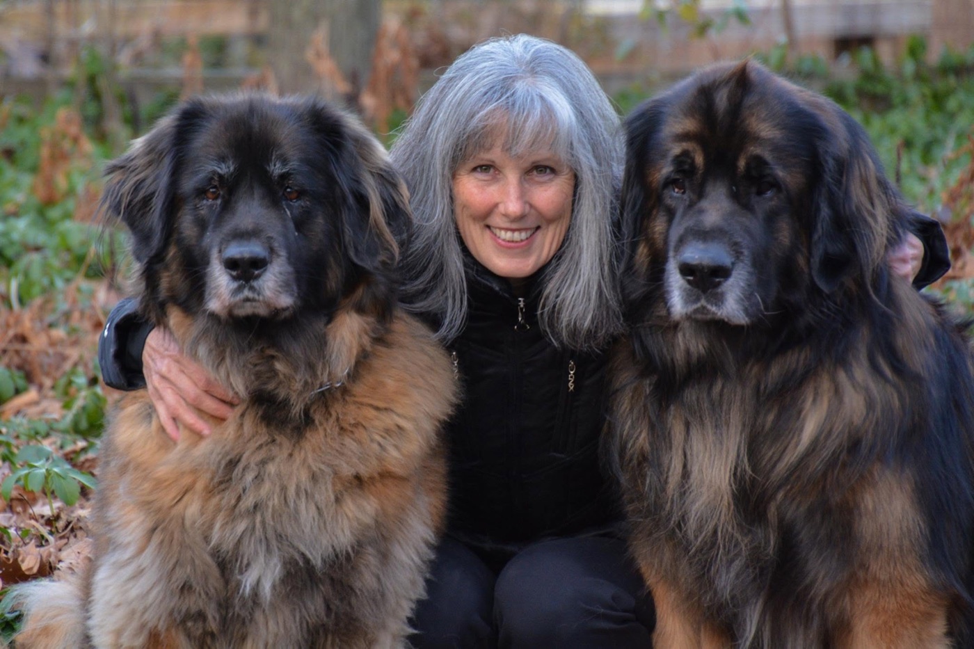 Victoria Mannina with her two Leonberger dogs